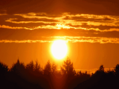 The Sun Shines Brightly Through The Clouds Behind The Trees GIF