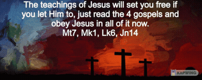 The Teachings Of Jesus Will Set You Free If You Let Him To Just Read The 4 Gospels And Obey Jesus In All Of It GIF