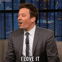 The Tonight Show Jimmy Fallon I Love It GIF