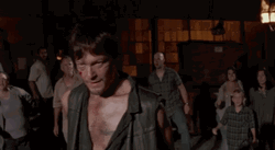 The Walking Dead Daryl Dixon Norman Reedus GIF