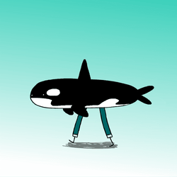 The Walking Orca GIF