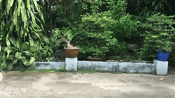 The Way Is Clear Go Go Go GIF