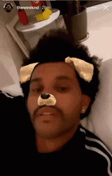 The Weeknd Dog Filter