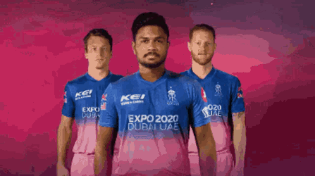 The Werkself Rajasthan Royals GIF