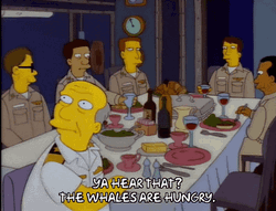 The Whale Are Hungry GIF