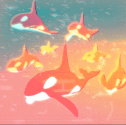 The Whale Group GIF