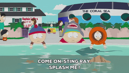 The Whale In Pool GIF