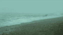 The Whale In The Shore GIF