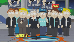 The Whale News GIF