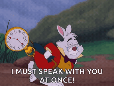 The White Rabbit From Alice In Wonderland Is Carrying A Pocket Watch On His Back And Says I Must Speak With You At Once GIF