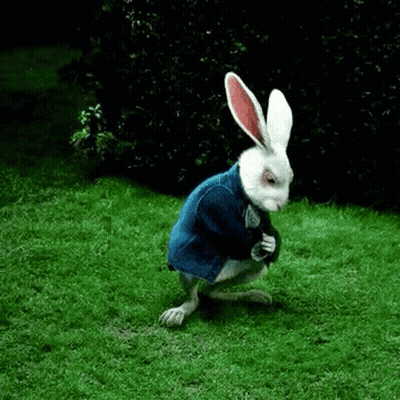 The White Rabbit From Alice In Wonderland Is Wearing A Blue Jacket And Standing In The Grass . GIF