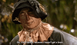 The Wizard Of Oz Scarecrow Im A Failure GIF