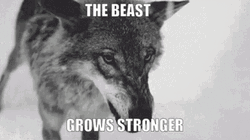 The Wolf Beast Grows Stronger GIF