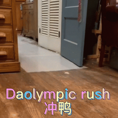 The Word Daolympic Rush That Is On A Floor GIF