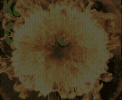The Word Going Is Surrounded By Fire GIF