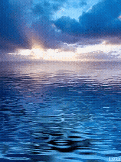 The Word Laska Is On The Bottom Of A Photo GIF