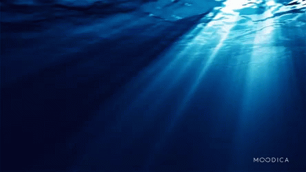Moodica Text On Blue Background GIF