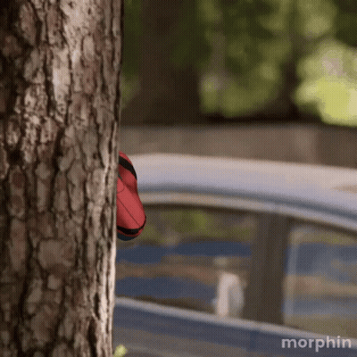 The Word Morphin Is On The Bottom Of A Picture GIF