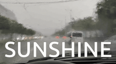 The Word Sunshine Is On The Windshield Of The Car GIF