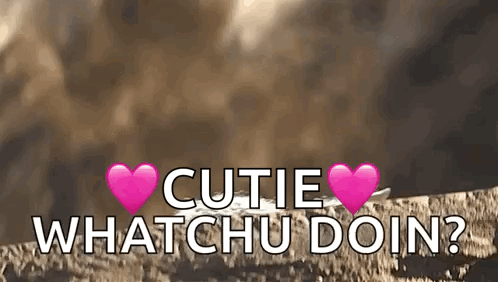 The Words Cutie Whatchu Doin Are Written On A Brown Background With Pink Hearts . GIF