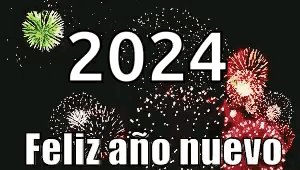 The Year 2024 Is On A Black Background With Fireworks In The Background GIF