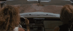 Thelma And Louise Holding Hands GIF