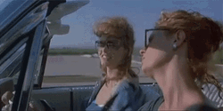 Thelma And Louise GIF
