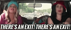 Thelma And Louise Theres An Exit GIF