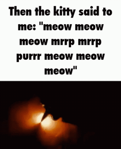 Then The Kitty Said To Me : Meow Meow Meow Mrrp Mrrp Purrr Meow Meow Meow GIF