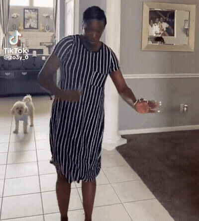 Theojigif Theojigid GIF