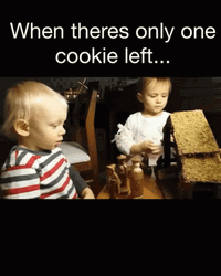 There Can Be Only One Cookie Left GIF