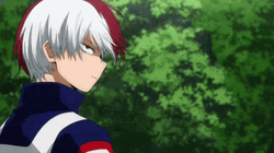 There Goes My Hero Shoto Todoroki GIF