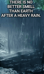 There Is A Better Smell In Rainy Monday GIF