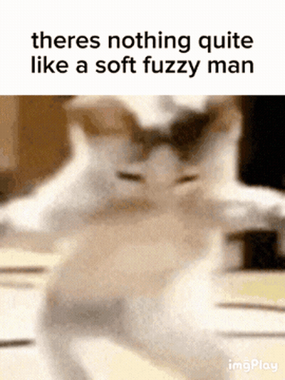 There Is Nothing Quite Like A Soft Fuzzy Man According To A Cat GIF