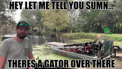 There's Alligator In The Swamp GIF