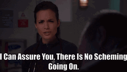 There's No Scheming Going On GIF