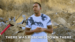 There's Roaches Down There GIF