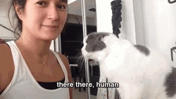 There There Sweet Cat Petting Human GIF