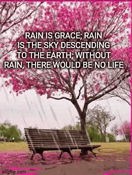 There Would Be No Life Without Rain , There Would Be No Life Without Rain , There Would Be No Life GIF