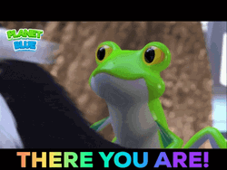 There You Are Cute Frog GIF