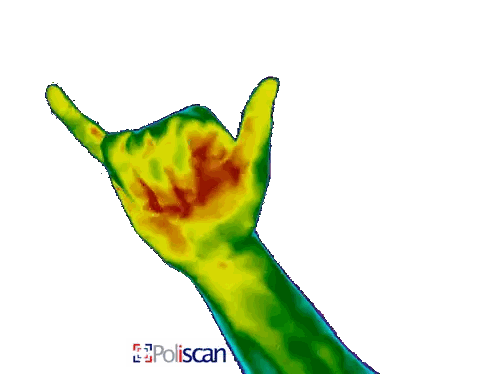 Thermal Hand With Poliscan Text Sticker