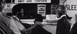 They Live Classic Horror Flick GIF