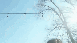 They Missed Pool Backflip GIF