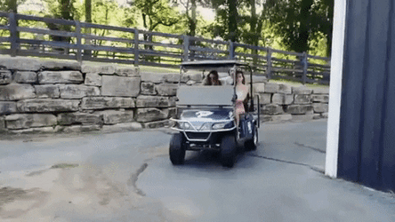 They Travel With The Golf Cart GIF
