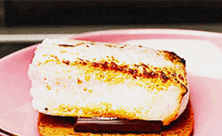 Thick Layer Smores Sandwich GIF