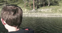 Thief Funny Eagle Fishing  GIF