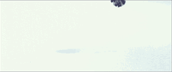 Things That Bounce Cat On Snow GIF