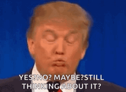 Think About It Donald Trump GIF
