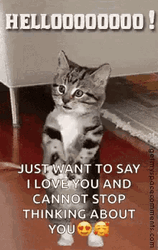 Thinking About You Message And Waving Cat GIF