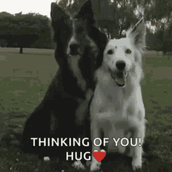 Thinking Of You Dog Hug